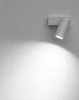 Dot P Spot Light
