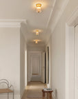 Asteea Ceiling Light
