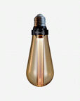 Buster Bulb
