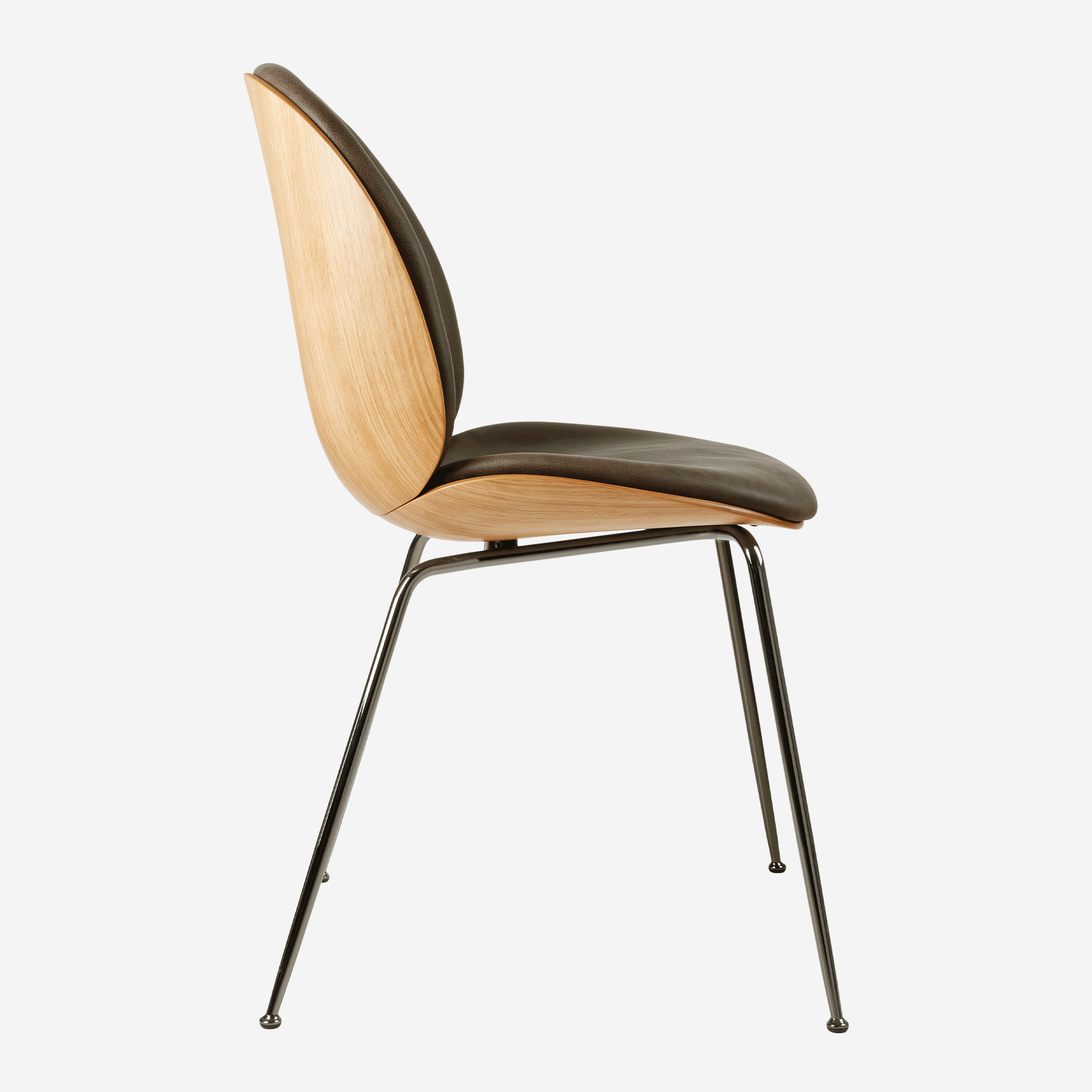 Beetle Dining Chair, Veneer Shell &amp; Leather