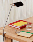 Apex desk clip lamp