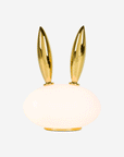 Pet Light