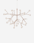 Heracleum III Suspended, Small