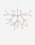 Heracleum III Suspended Pendant Light, Small
