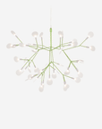 Heracleum III Suspended Pendant Light, Small