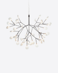 Heracleum III Suspended Pendant Light, Small
