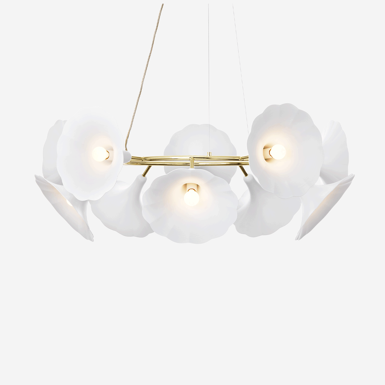 Petalli 10, White/Polished Brass