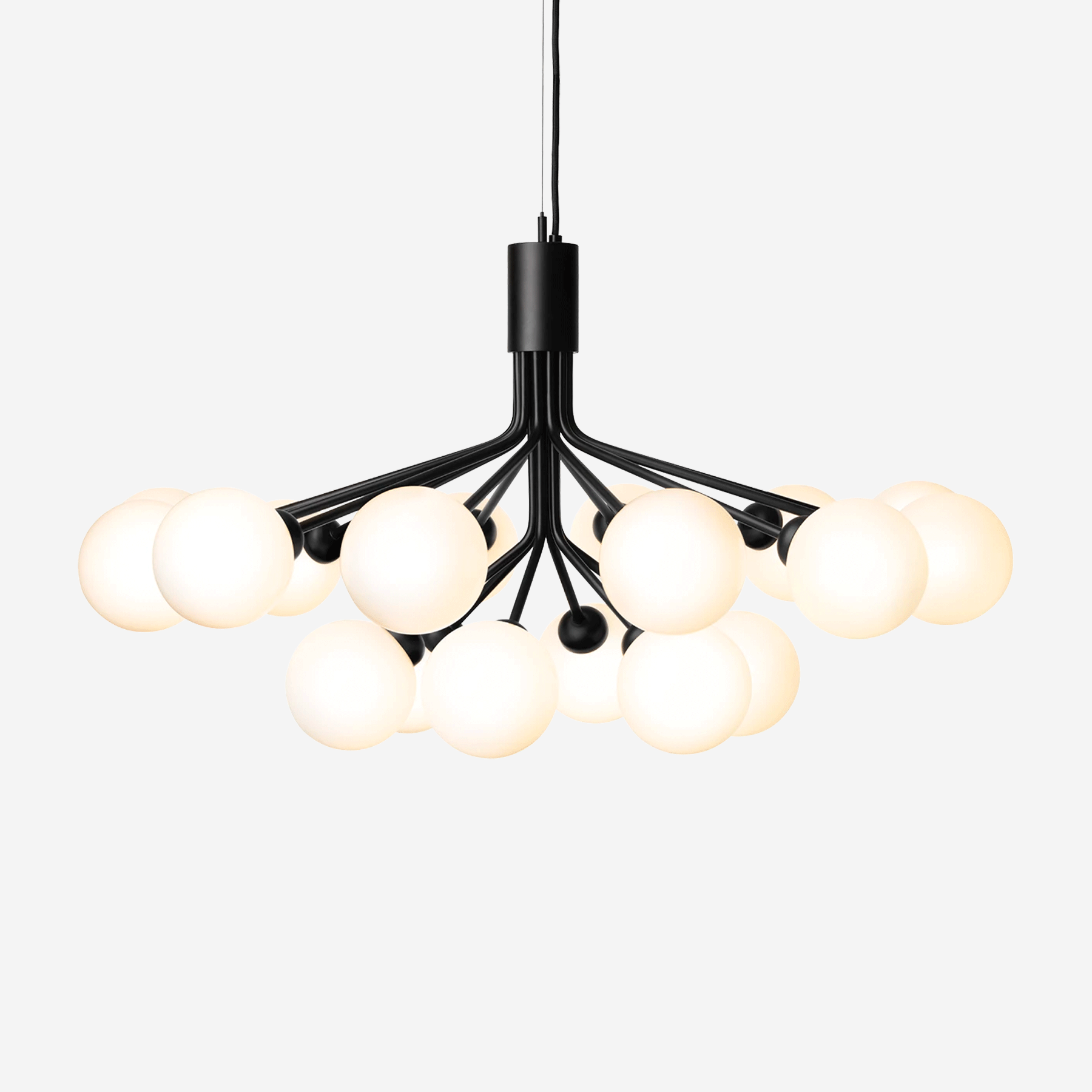 Apiales 18 Chandelier, Opal
