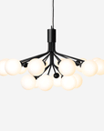 Apiales 18 Chandelier, Opal