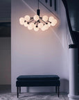 Apiales 18 Chandelier, Opal