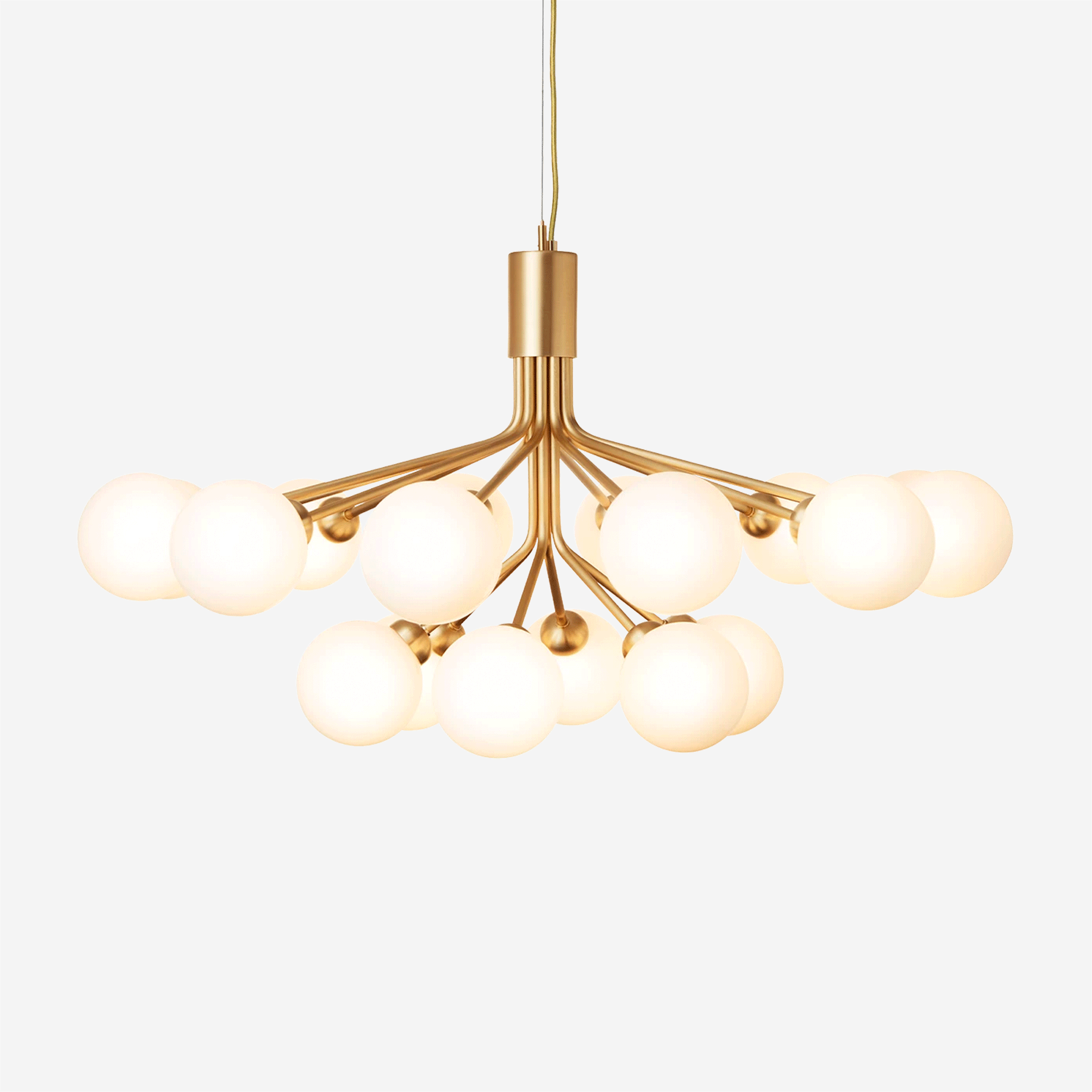 Apiales 18 Chandelier, Opal