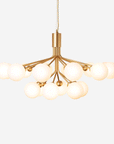 Apiales 18 Chandelier, Opal