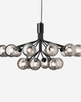 Apiales 18 Chandelier, Optic