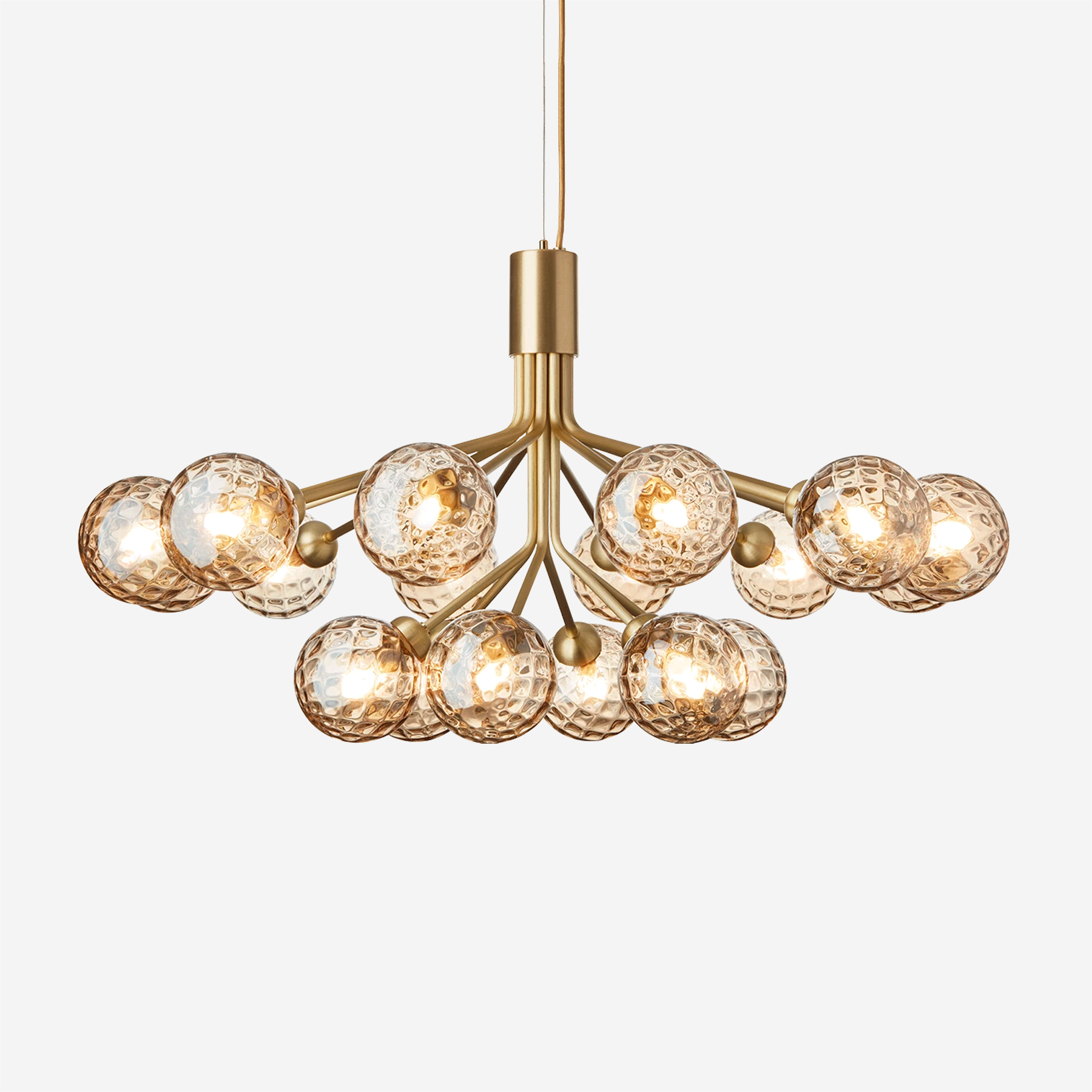 Apiales 18 Chandelier, Optic