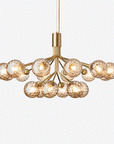 Apiales 18 Chandelier, Optic