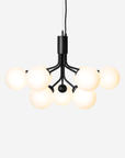 Apiales 9 Chandelier, Opal