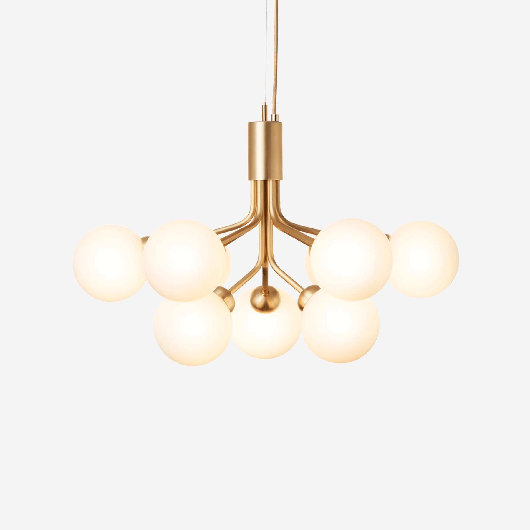 Apiales 9 Chandelier, Opal