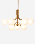 Apiales 9 Chandelier, Opal