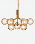 Apiales 9 Chandelier, Optic