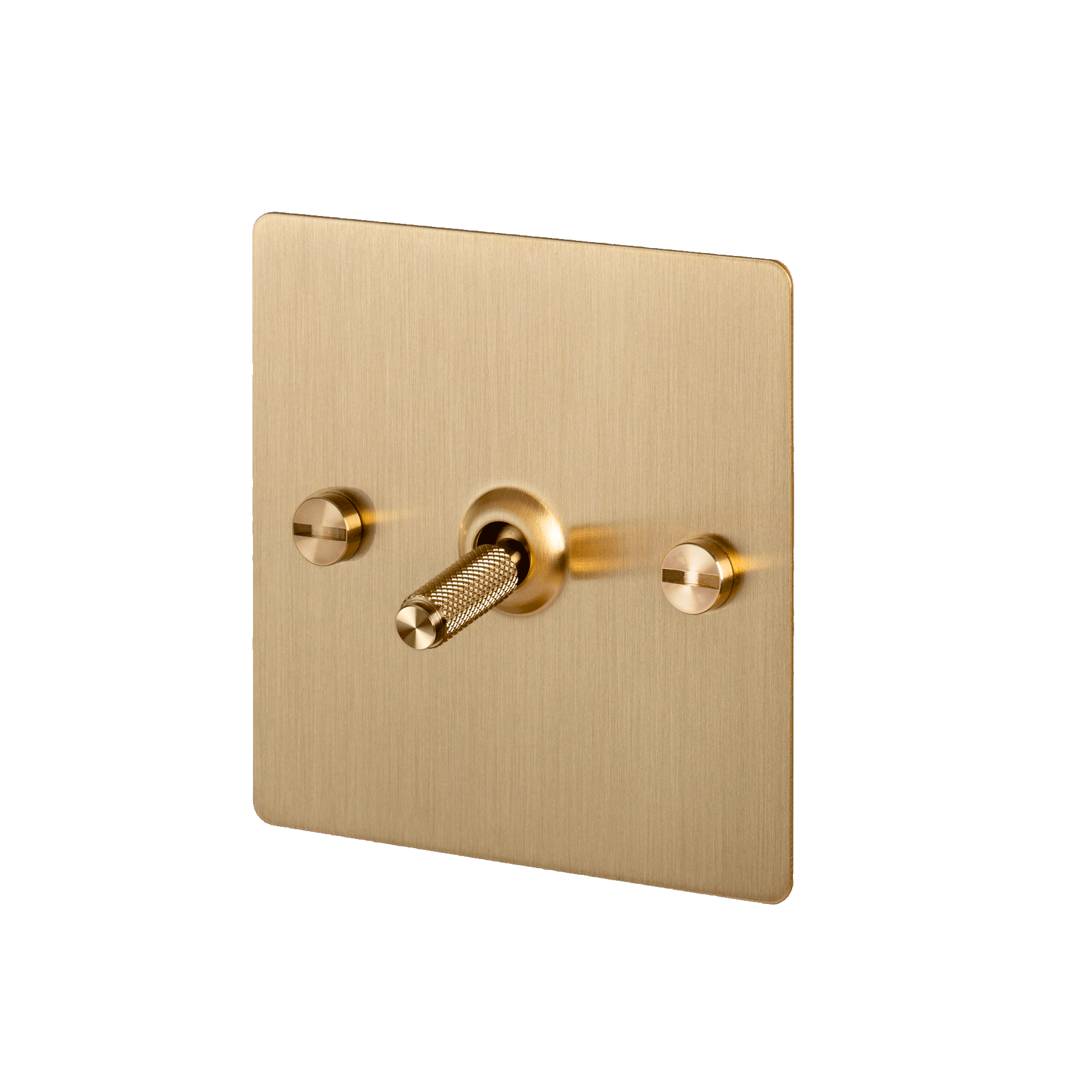 1G Toggle Switch, Brass plate - Moleta Munro Limited