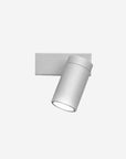Dot P Spot Light
